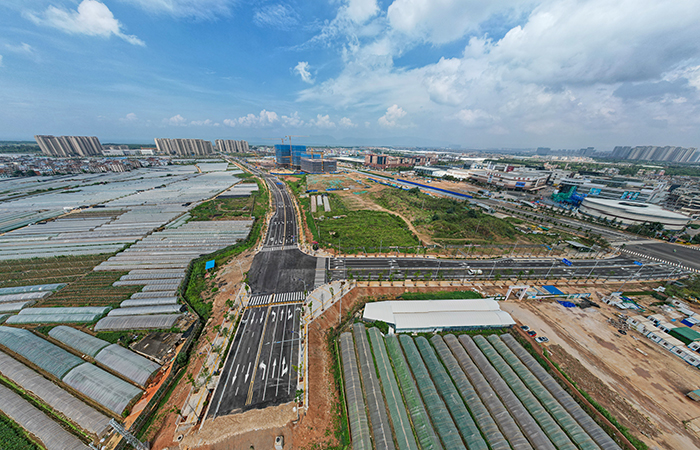 1688019573122293.jpg 小圖兩條路.jpg